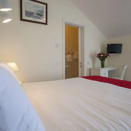 The Waterfront (adults Only) Dingle