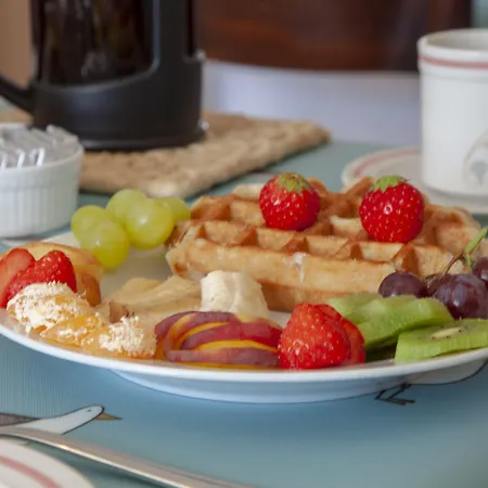 The Waterfront (adults Only) Maison d'hôtes Dingle