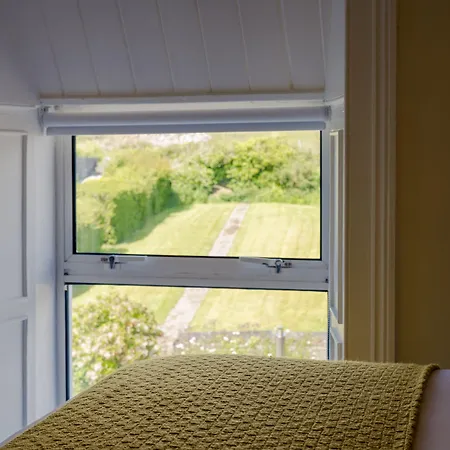 The Waterfront (adults Only) Dingle