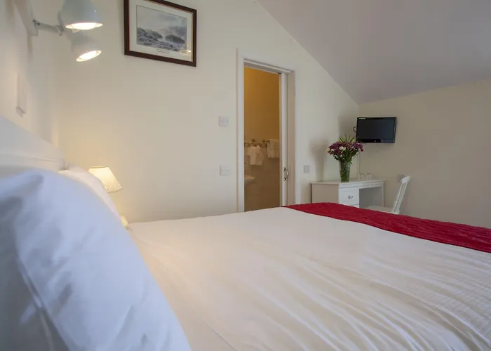 The Waterfront (adults Only) Dingle